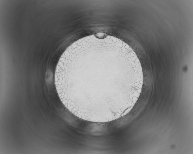 X0000116460089201001201309