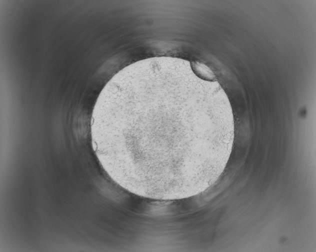 X0000116460090201001201309