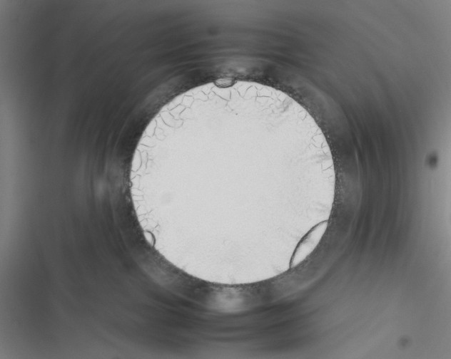 X0000116460091201001201309