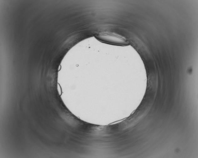 X0000116460092201001201309