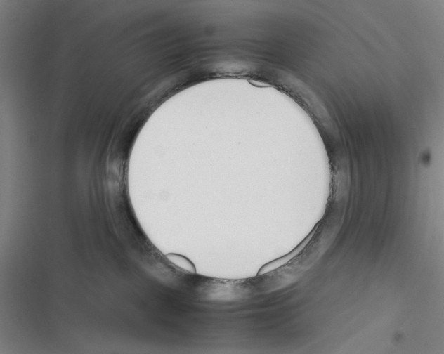 X0000116460093201001201309