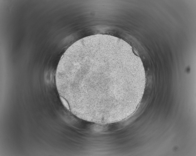 X0000116460094201001201309