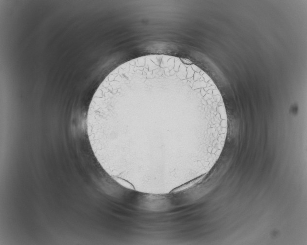 X0000116460095201001201309