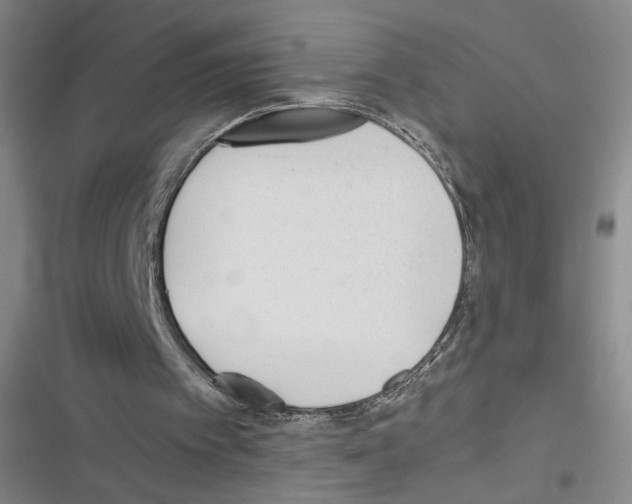 X0000116460097201001201308