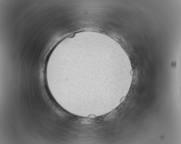 X0000116460098201001201308