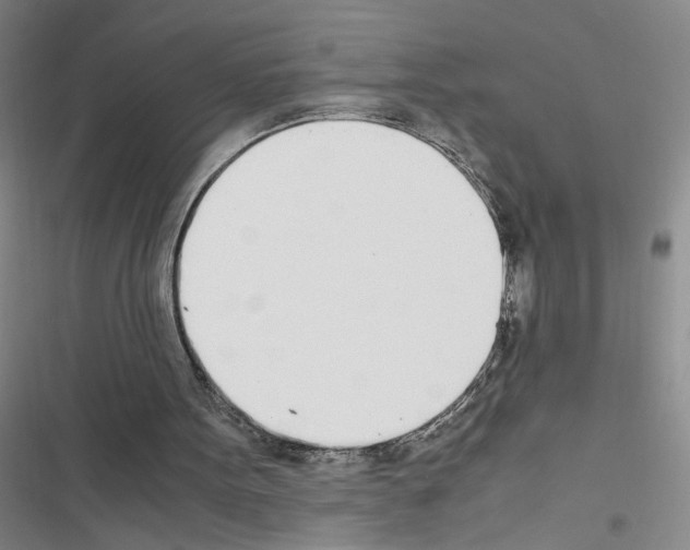 X0000116460099201001201308