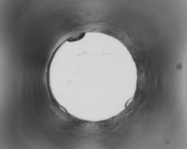 X0000116460100201001201308