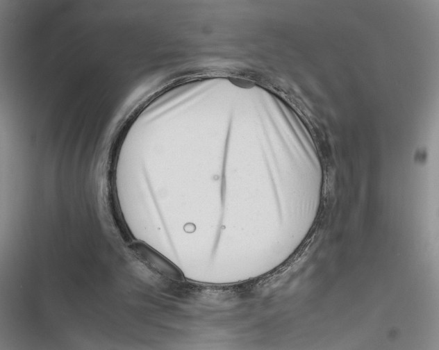 X0000116460101201001201308