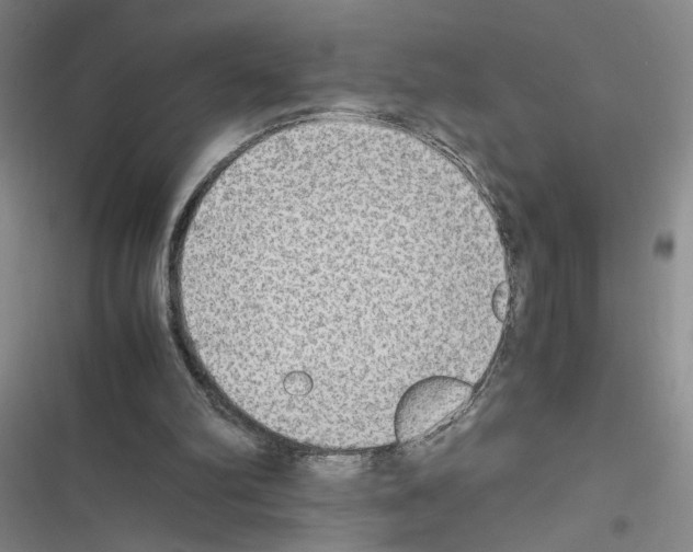 X0000116460102201001201308