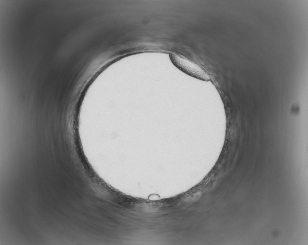 X0000116460103201001201308