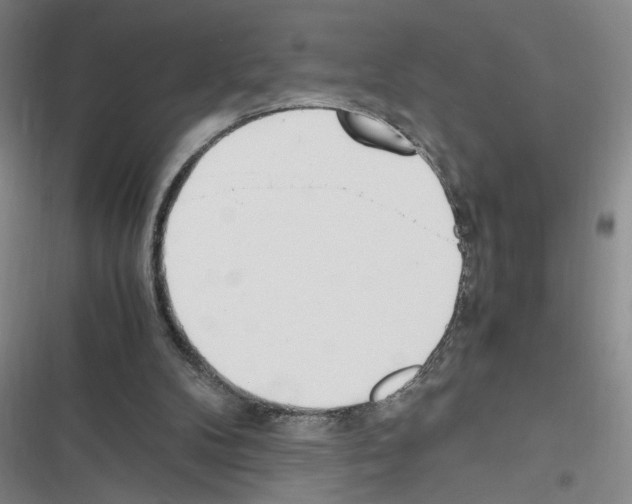 X0000116460104201001201308