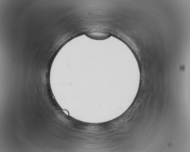 X0000116460105201001201308