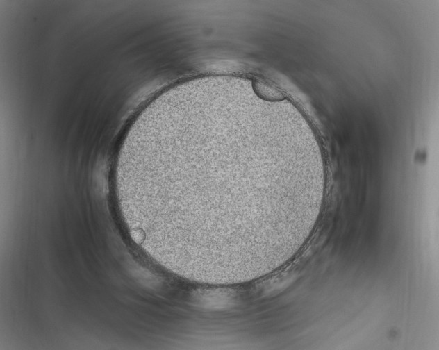 X0000116460106201001201308