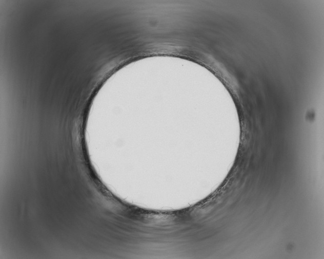 X0000116460107201001201308