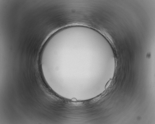 X0000116460108201001201308