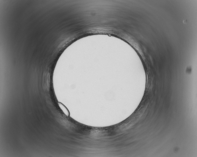 X0000116460109201001201308