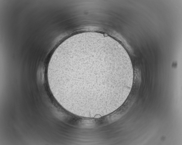 X0000116460110201001201308