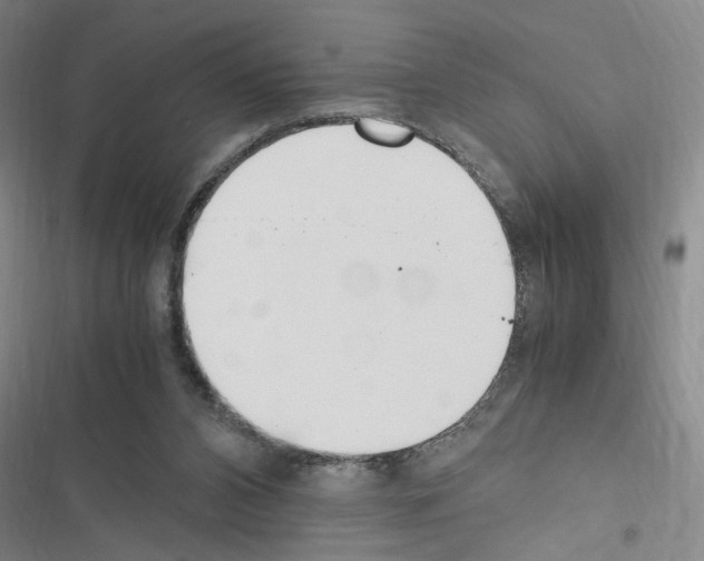 X0000116460112201001201308