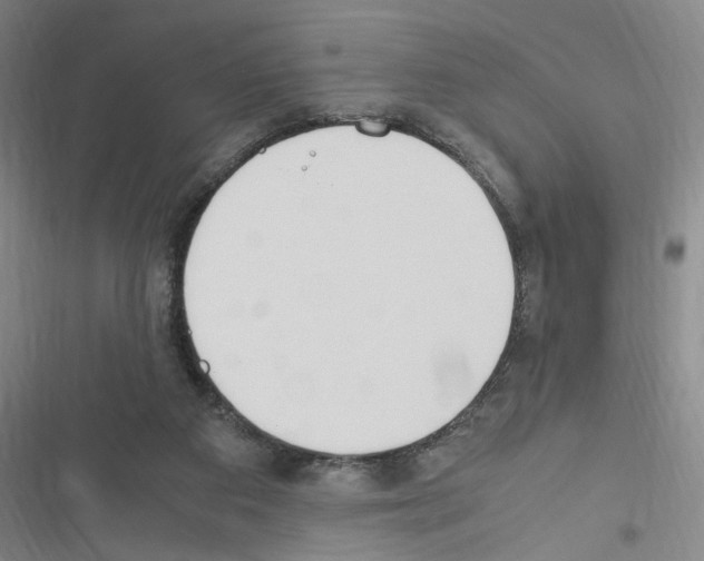 X0000116460113201001201308