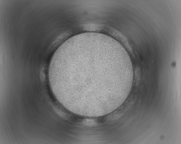 X0000116460114201001201308