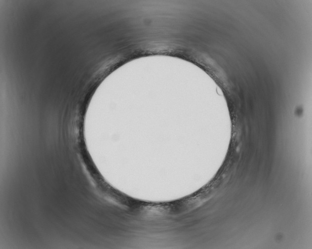 X0000116460115201001201308
