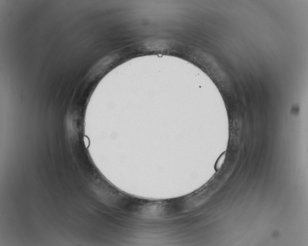 X0000116460116201001201308