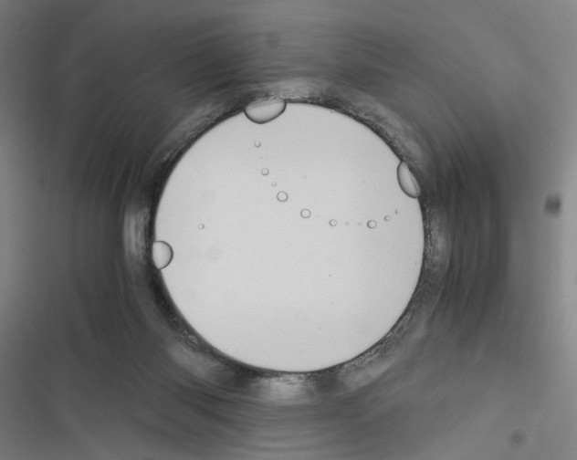 X0000116460118201001201308