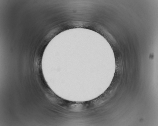 X0000116460119201001201308