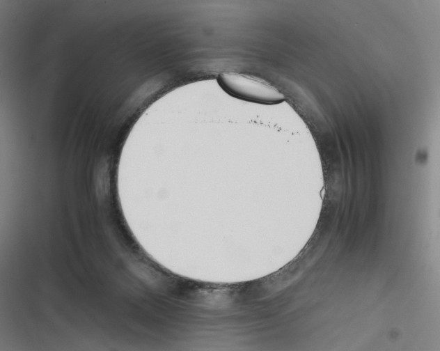 X0000116460120201001201308
