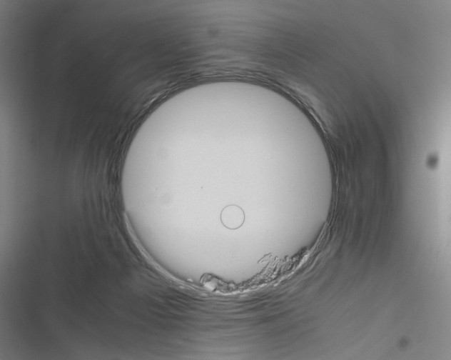 X0000116460121201001201308