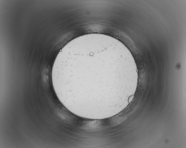 X0000116460122201001201308