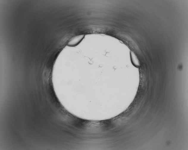 X0000116460123201001201308