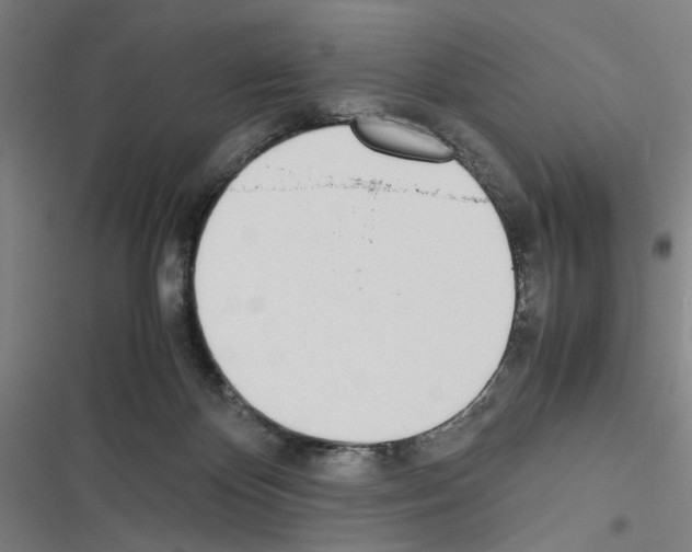 X0000116460124201001201308