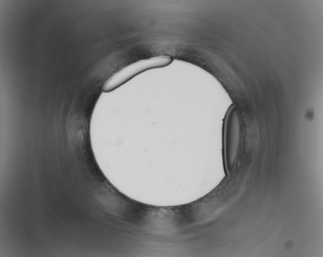 X0000116460125201001201308