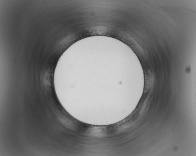 X0000116460126201001201308