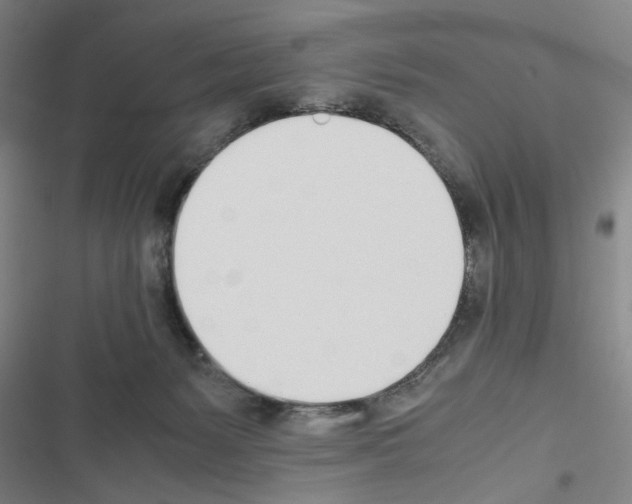 X0000116460127201001201308