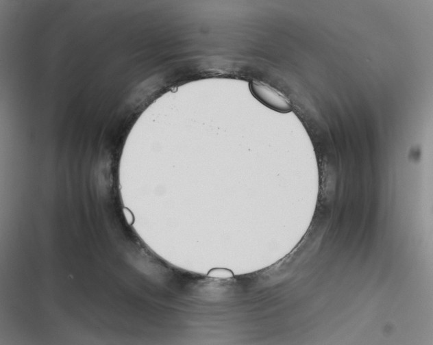 X0000116460128201001201308