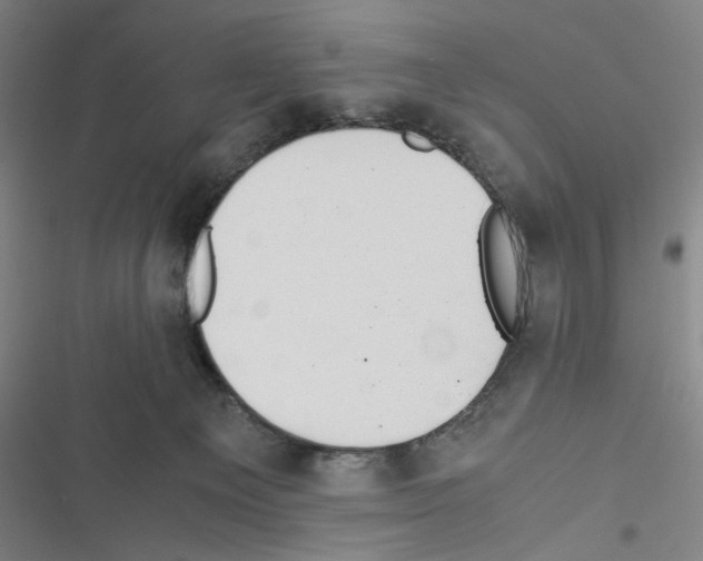 X0000116460129201001201308