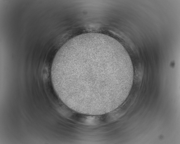 X0000116460130201001201308