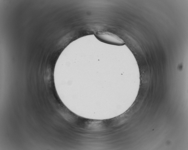 X0000116460132201001201308