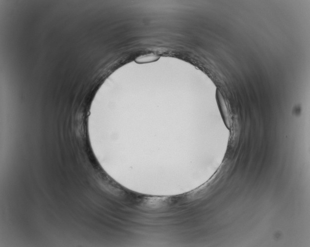 X0000116460136201001201308