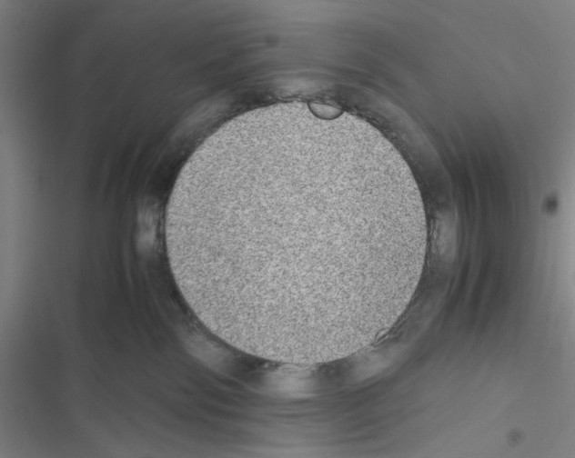 X0000116460138201001201308
