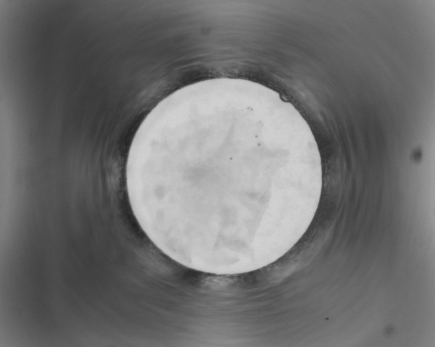 X0000116460139201001201308