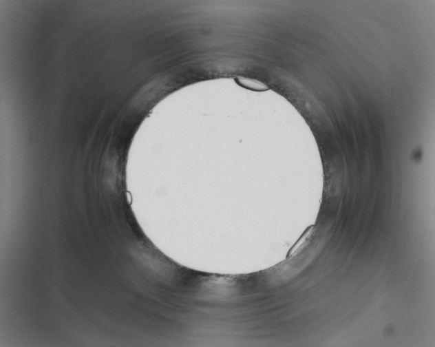 X0000116460140201001201308