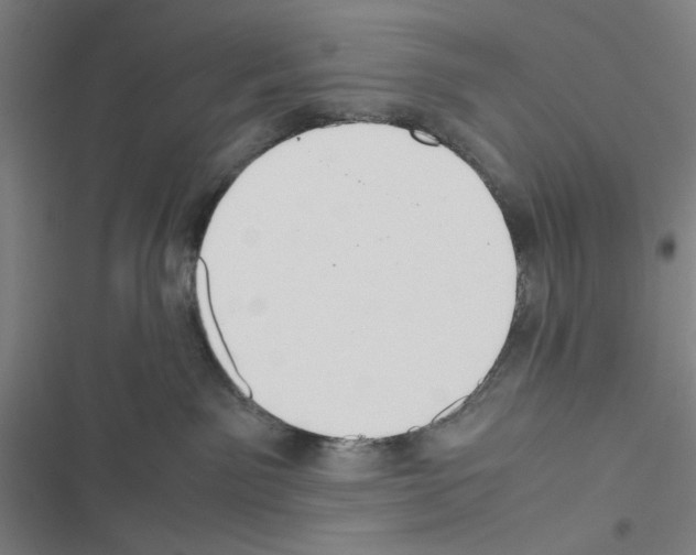 X0000116460141201001201308