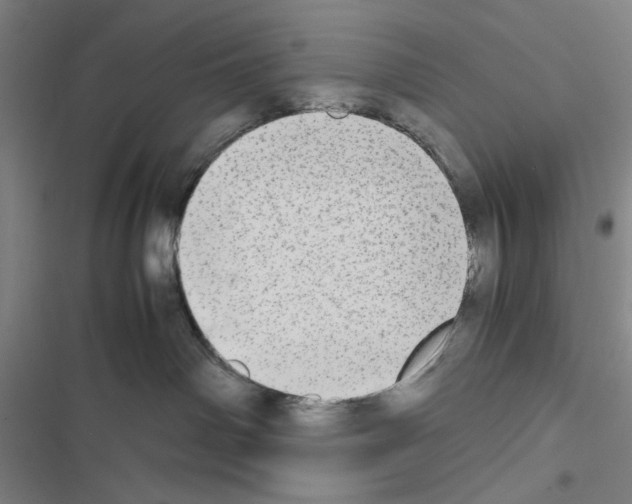 X0000116460142201001201308