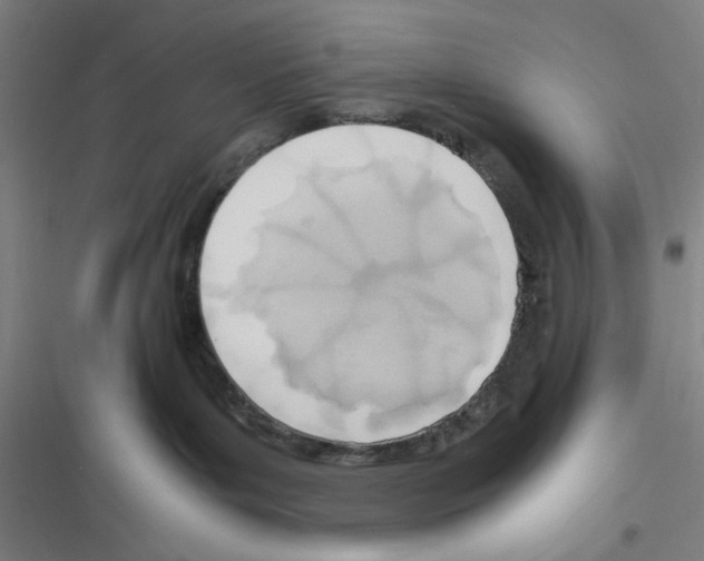 X0000116460143201001201308