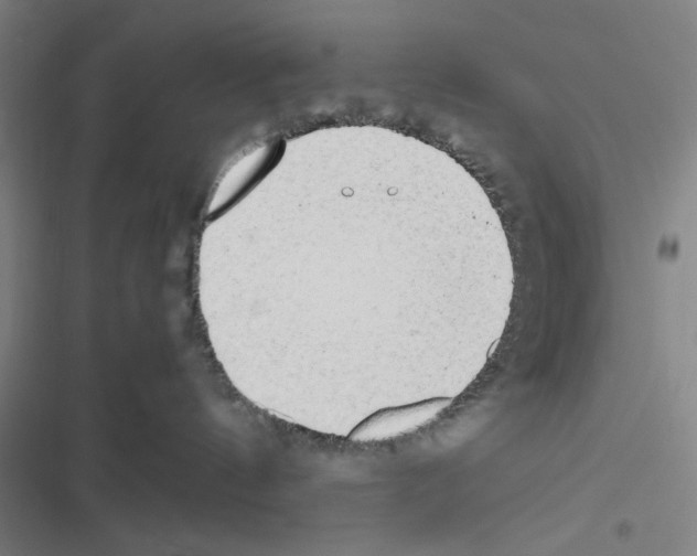 X0000116460144201001201308