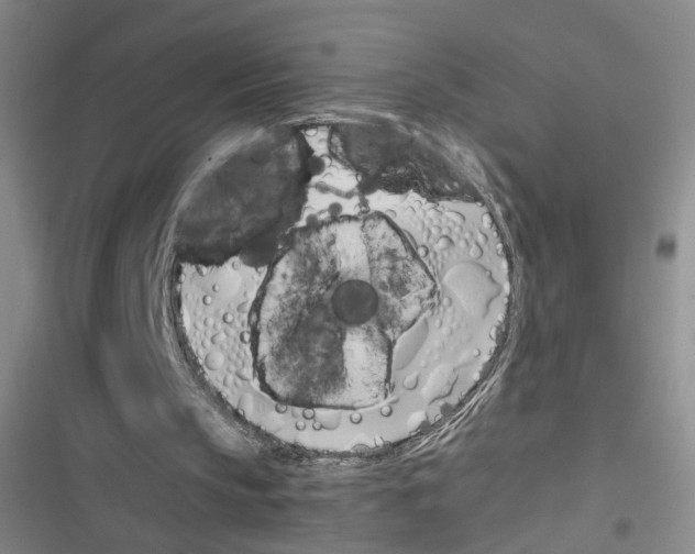 X0000116460145201001201307