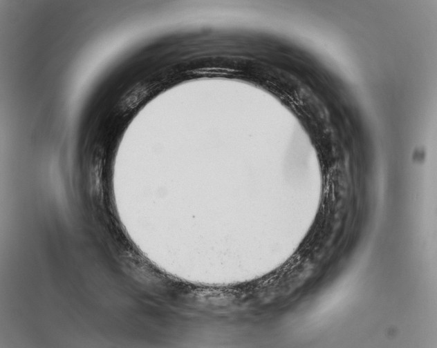 X0000116460146201001201307